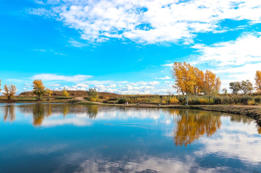 Photograph by Ch Ancuta