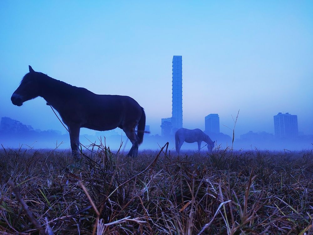 Photograph by Pritam Das