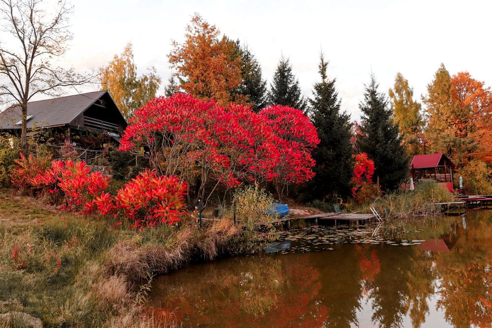 Photograph by Ch Ancuta