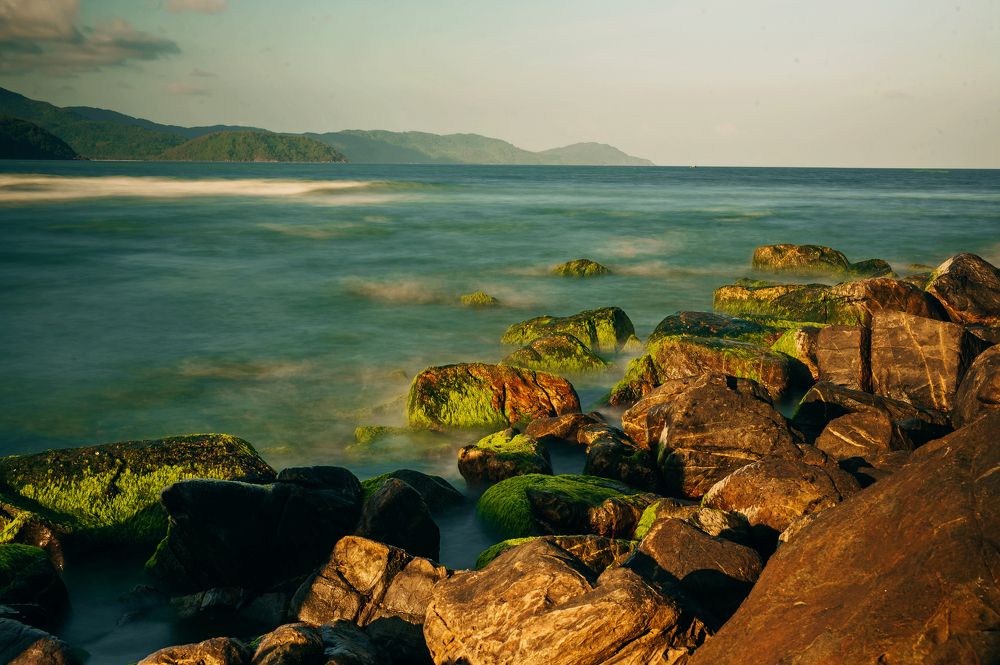 Photograph by Trần Ngọc Thanh