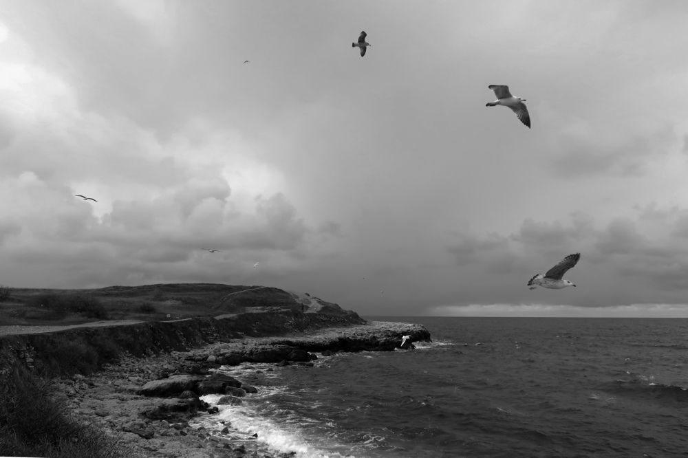 Photograph by 