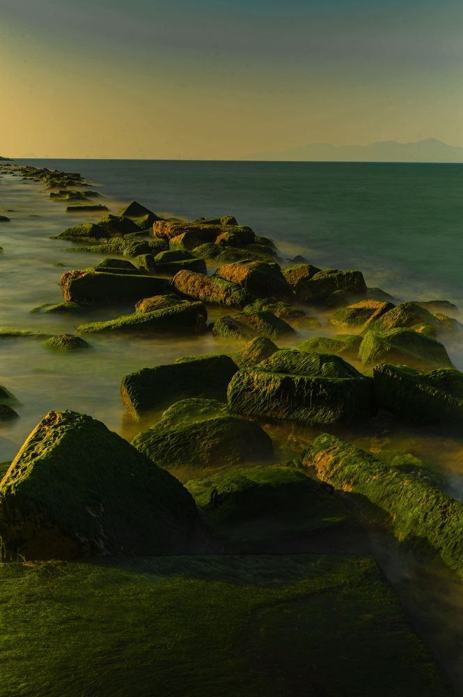 Photograph by Trần Ngọc Thanh