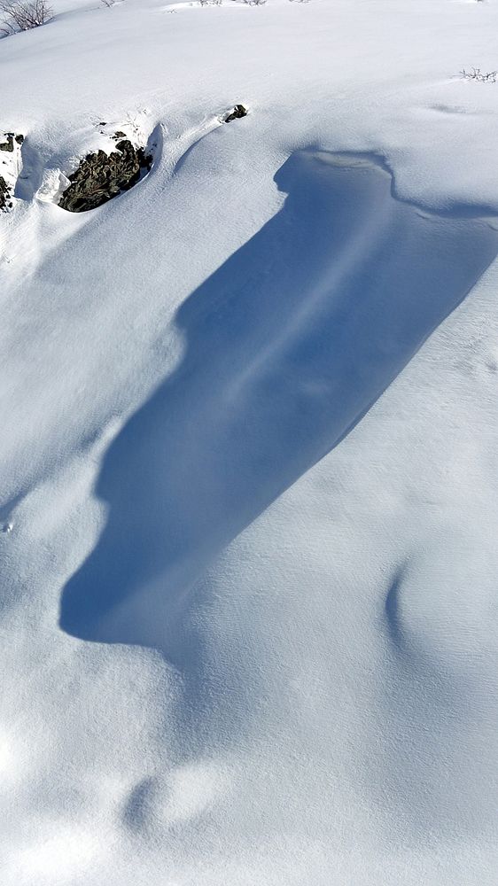 Photograph by Javad Tafti Farashah