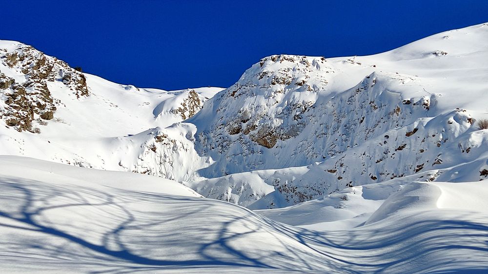 Photograph by Javad Tafti Farashah