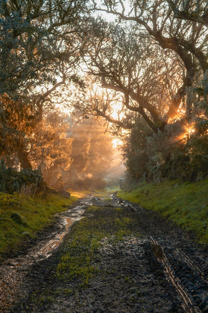 Photograph by Jose María Beneitez Silvo