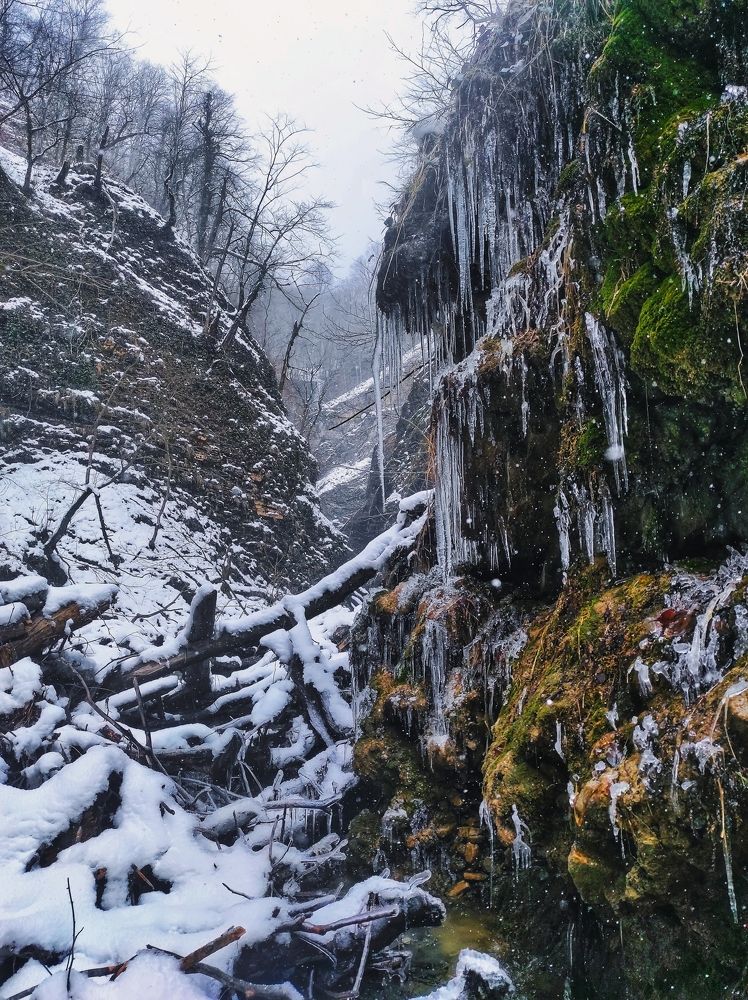 Photograph by Владимир Караман