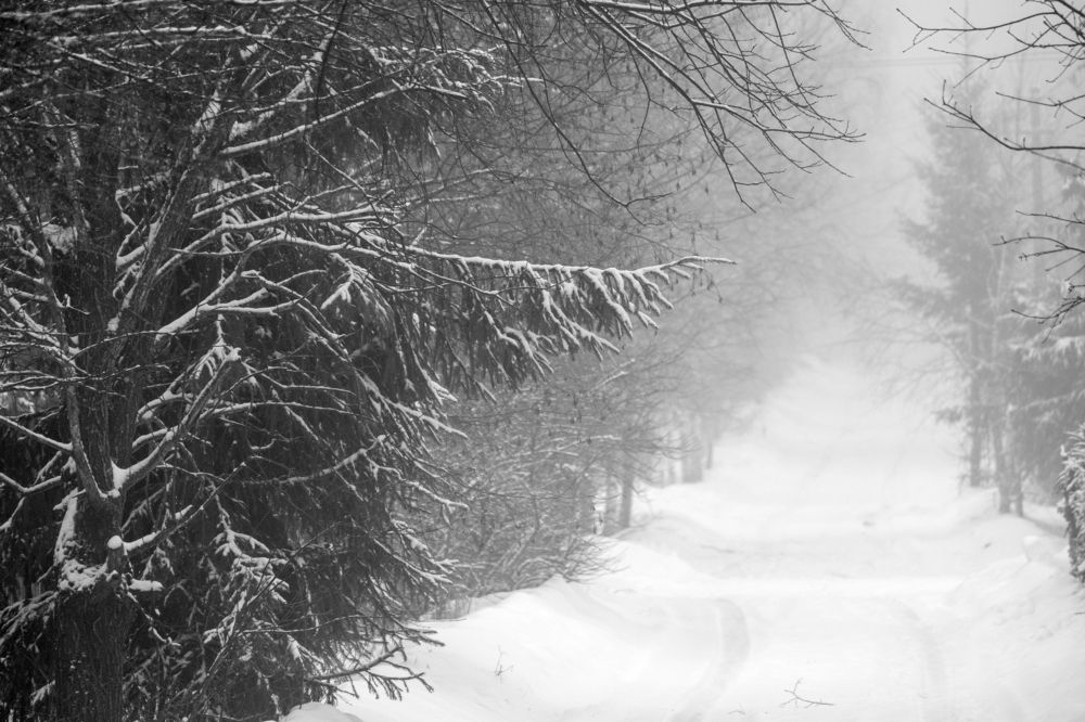 Photograph by Серебренников Михаил