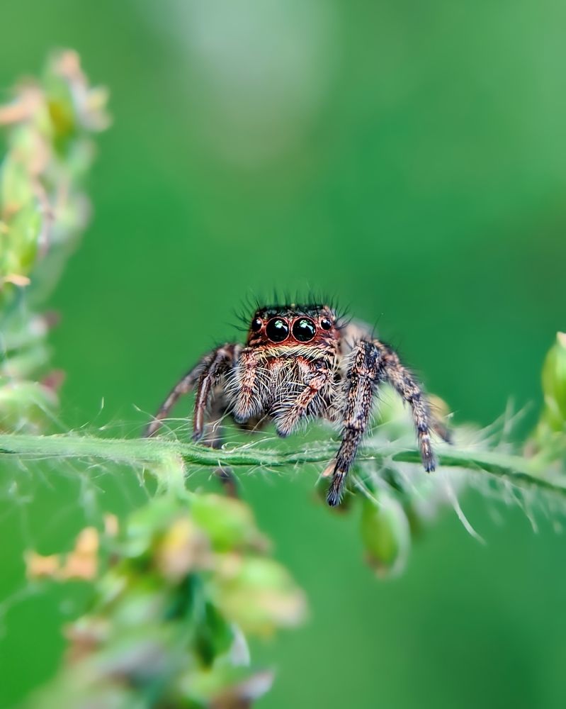 Photograph by Praveen