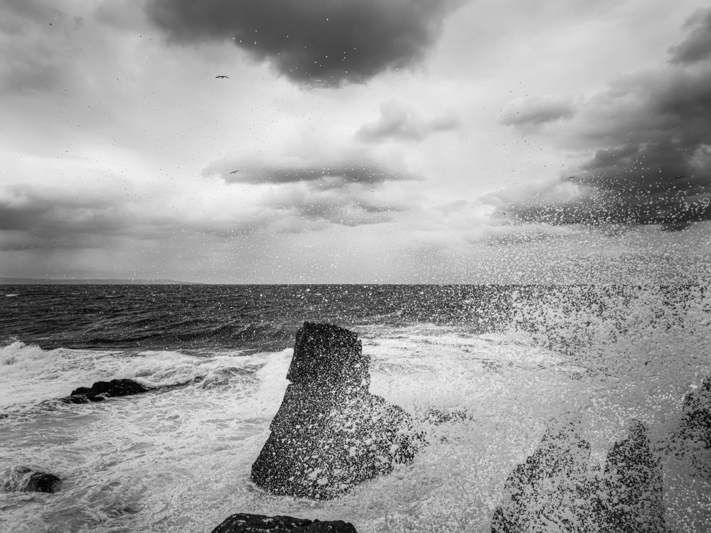 Photograph by Николай Драганов