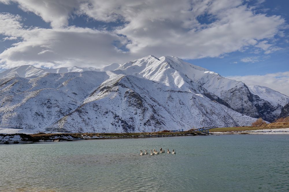 Photograph by Javad Tafti Farashah