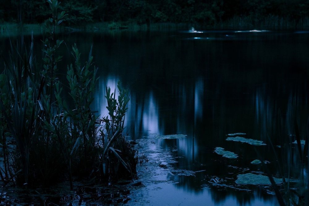 Photograph by Вероника Саратовцева