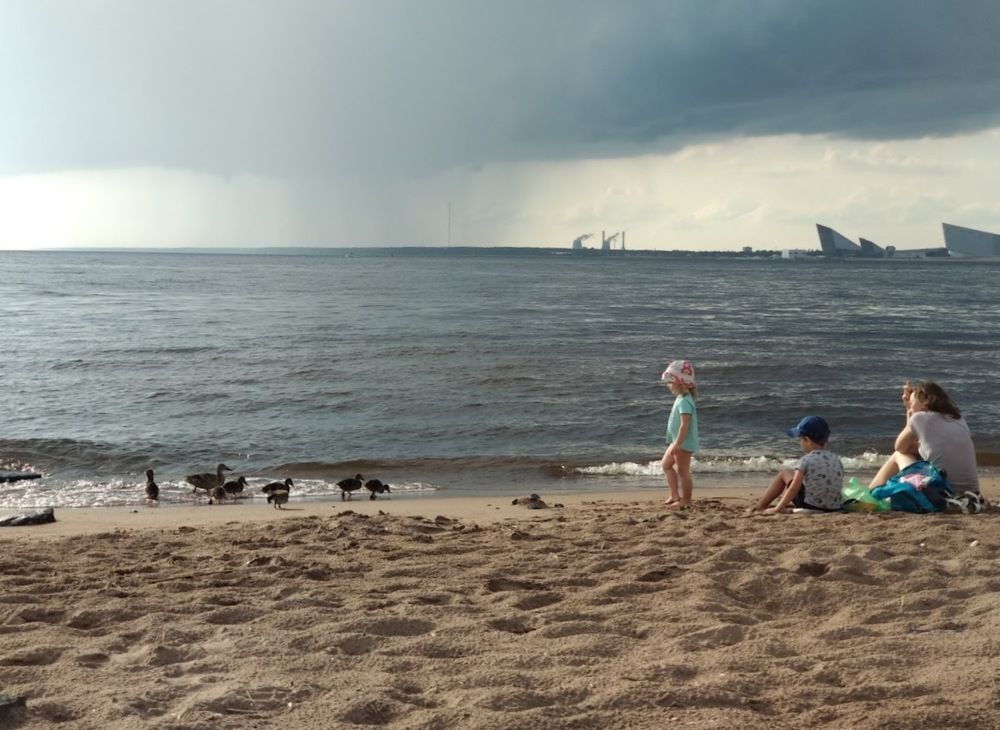 Photograph by Лариса Шишкова