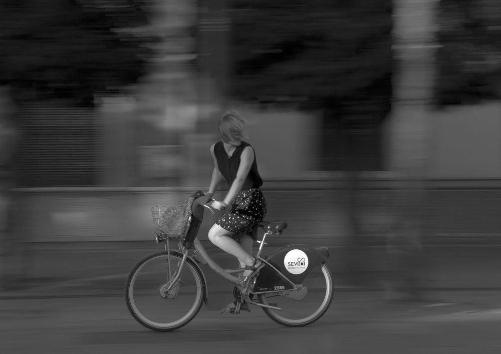 Photograph by Manuel J. Domínguez Jiménez