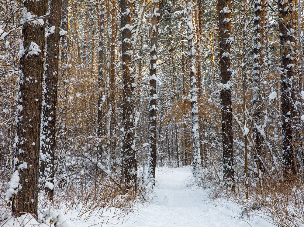 Photograph by Людмила Аксенова