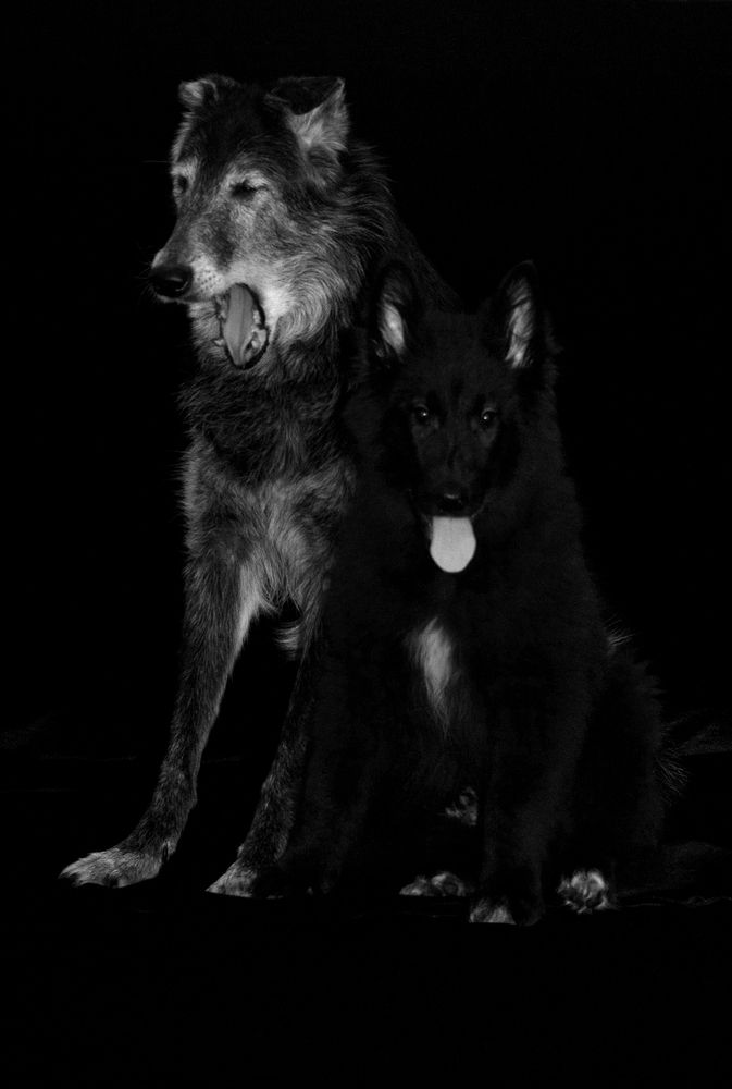 Ох уж эти дети...