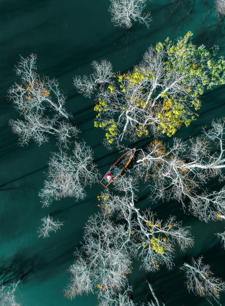 Photograph by Lê Huy Anh