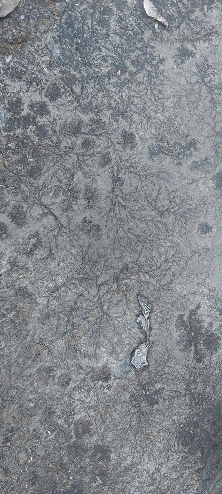 Photograph by Ангелина Аристова