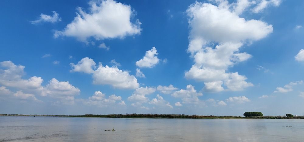 Photograph by NAVIN AGARWAL