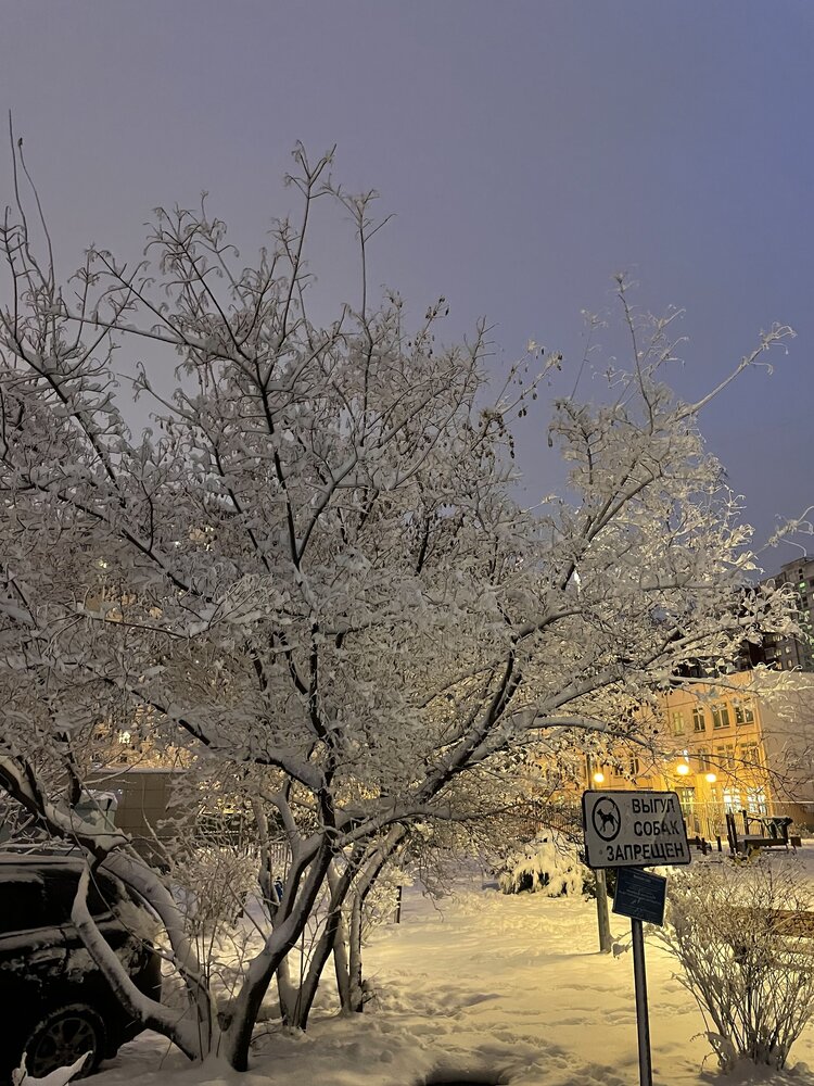 Photograph by Юлия Давшан