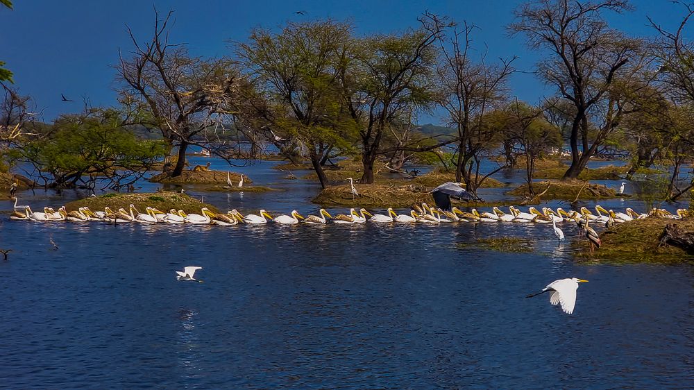 Photograph by NAVIN AGARWAL