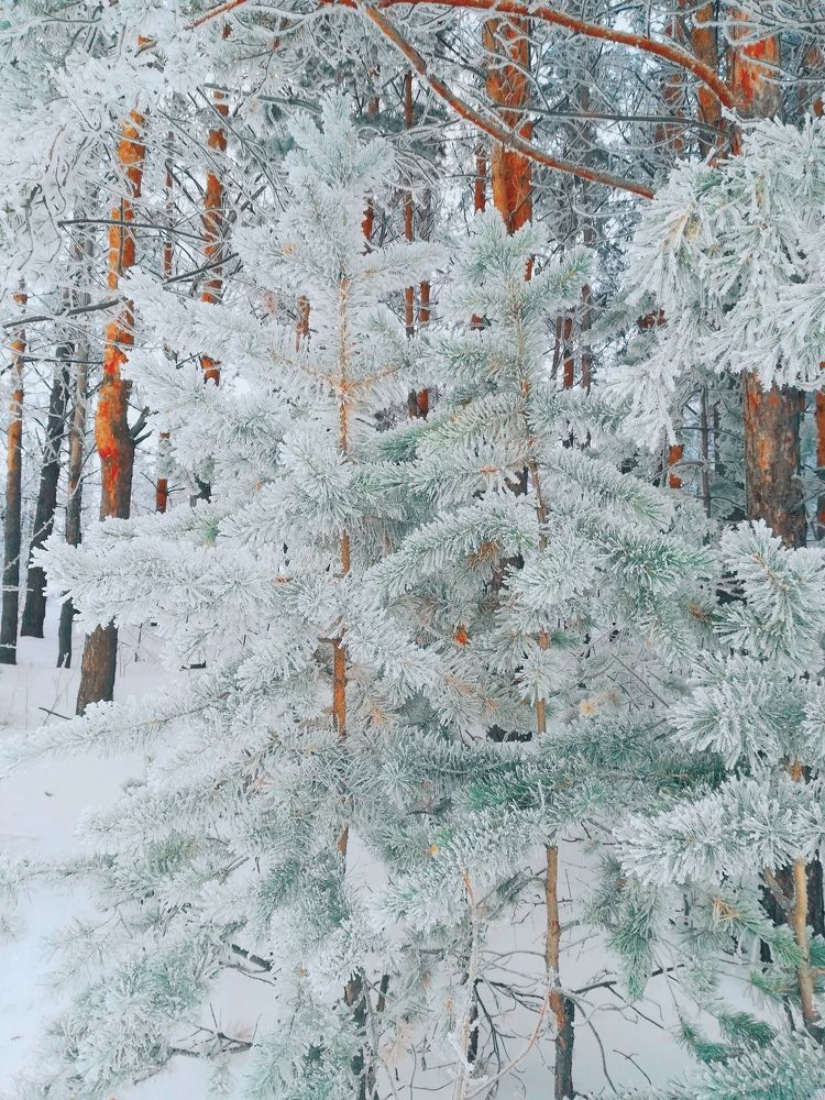 Photograph by Мария