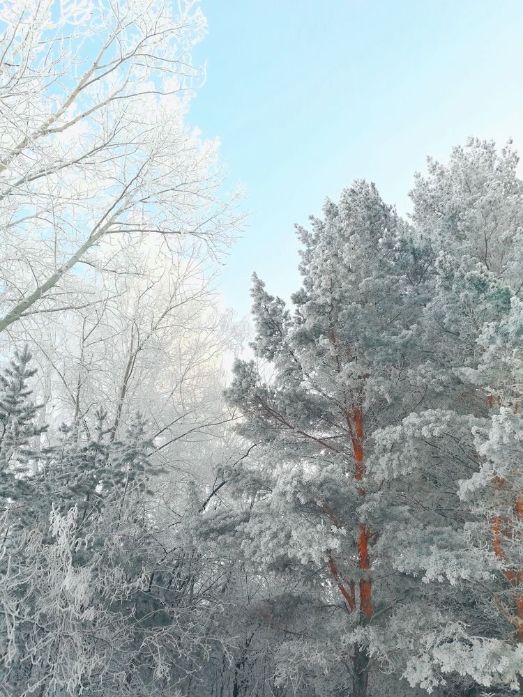 Photograph by Мария