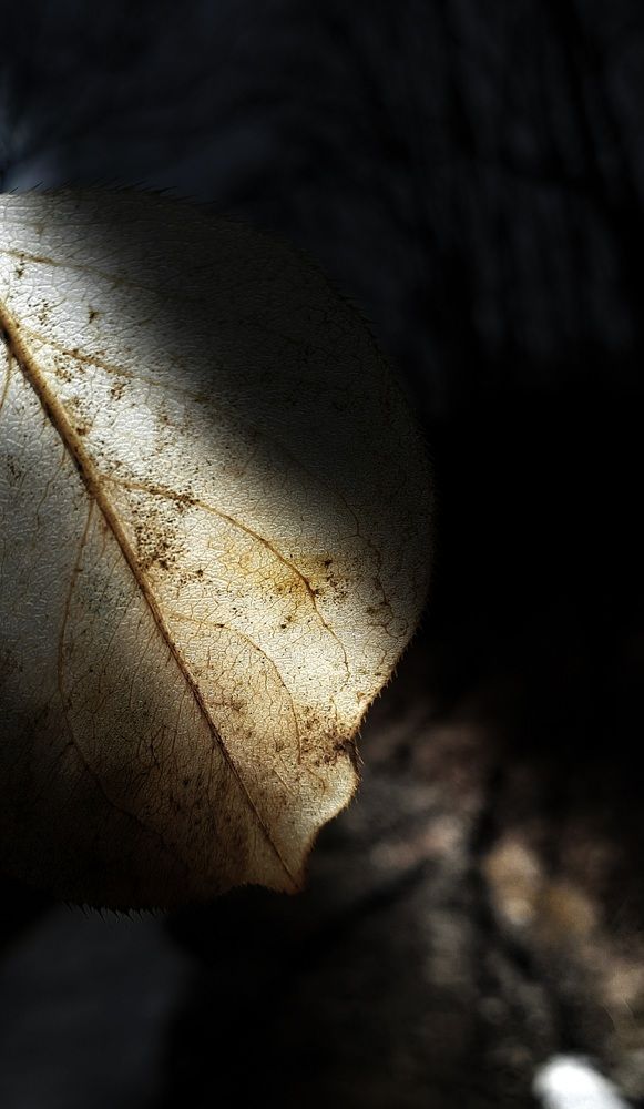 Photograph by Наталья Чередниченко