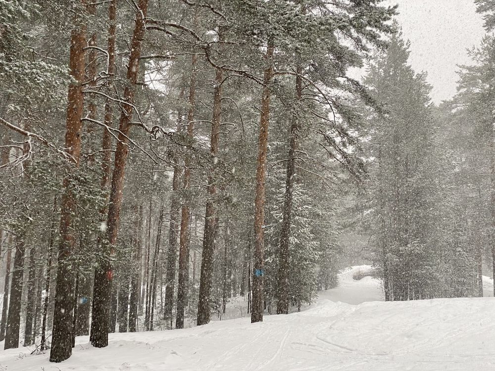 Фотография автора Ольга Горюнова