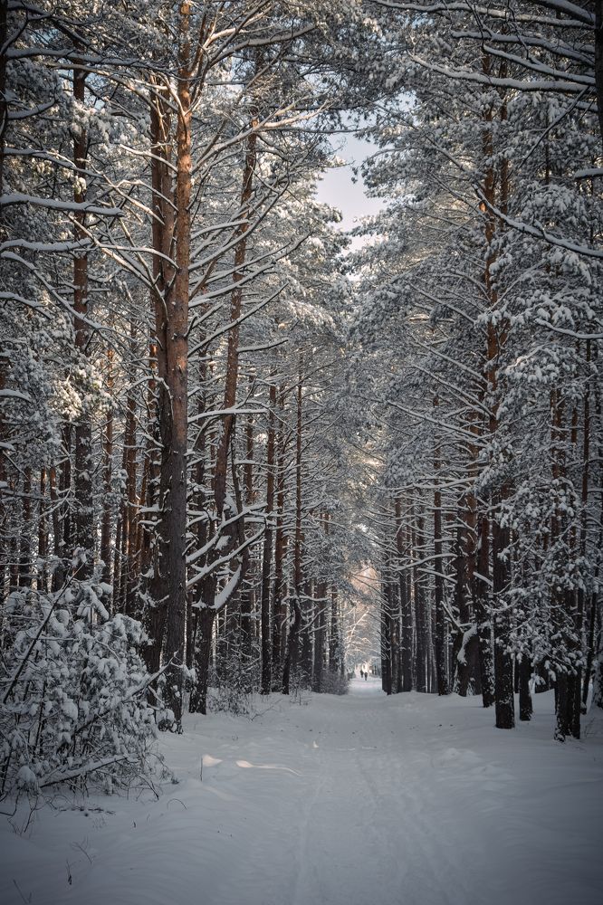 Фотография автора Ксения Вабищевич