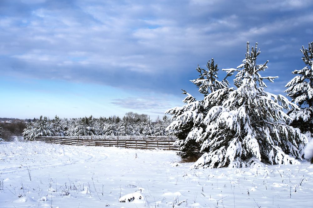 Фотография автора Александр Степочкин