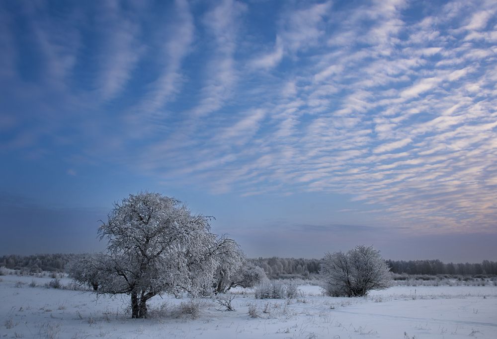 Фотография автора Александр Степочкин