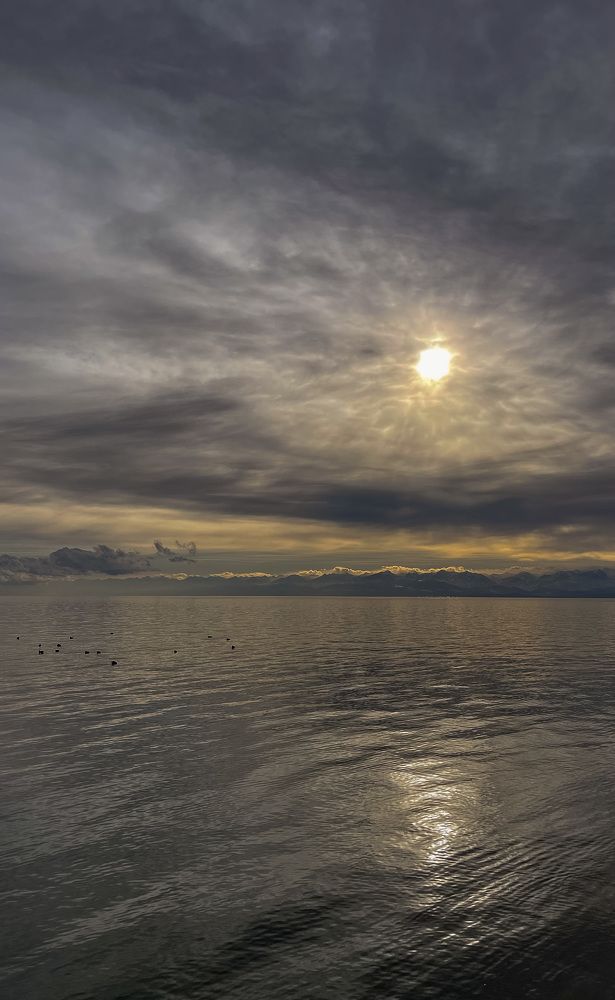 Photograph by Татьяна Лазарева