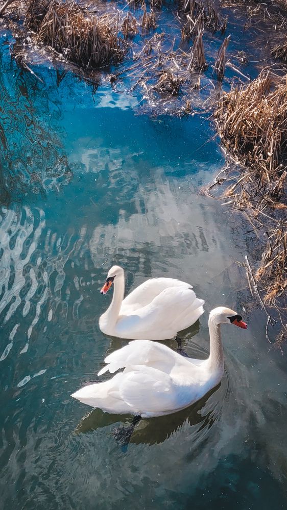 Photograph by Татьяна