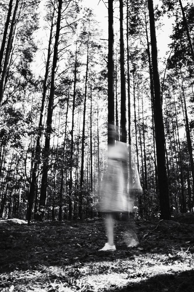 Фотография автора Ксения Вабищевич