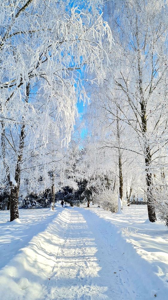 Photograph by Алёна