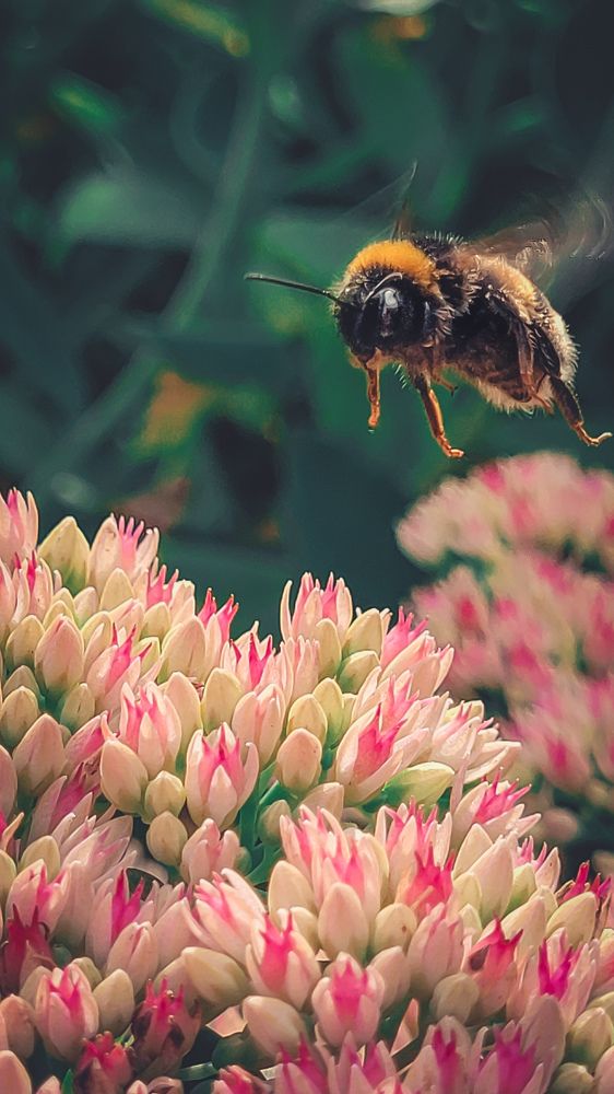 Photograph by Татьяна