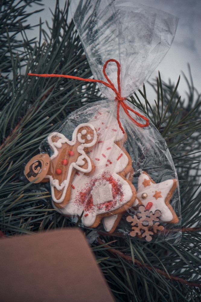 Фотография автора Ксения Вабищевич