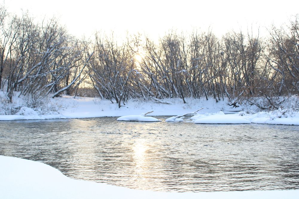 Photograph by Ольга Карпачева