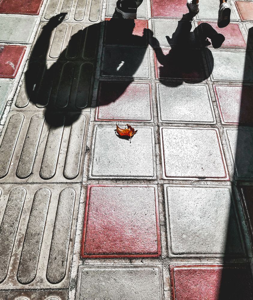 Photograph by Ehsan Fathi