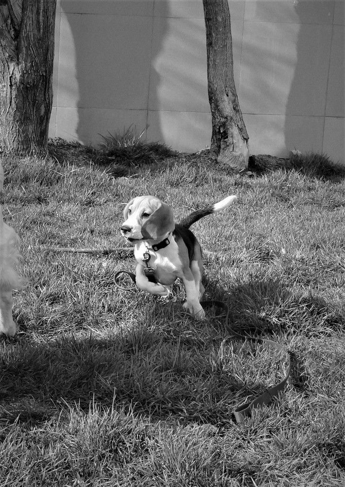 Photograph by Оксана Архипова