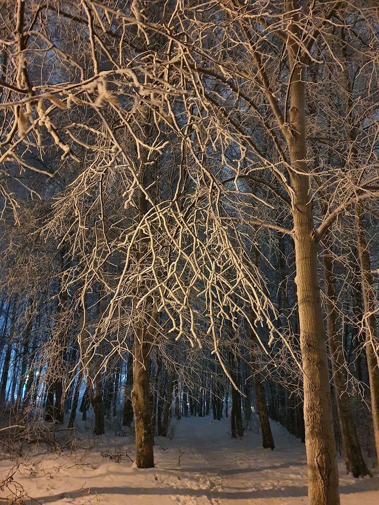 Фотография автора Надежда Лисицына