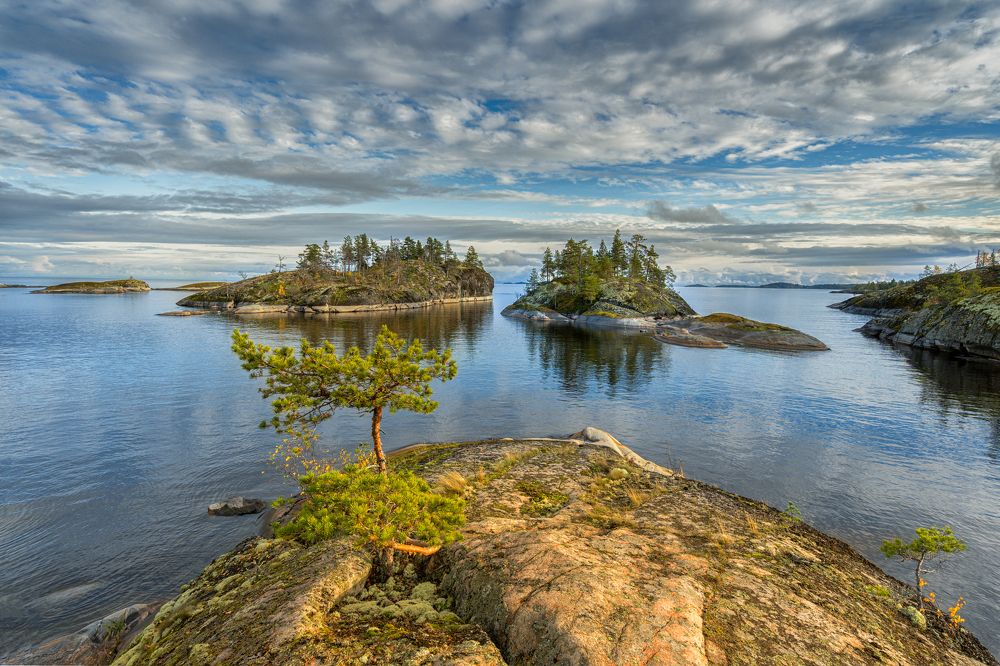 Photograph by Лариса Николаевна Дука