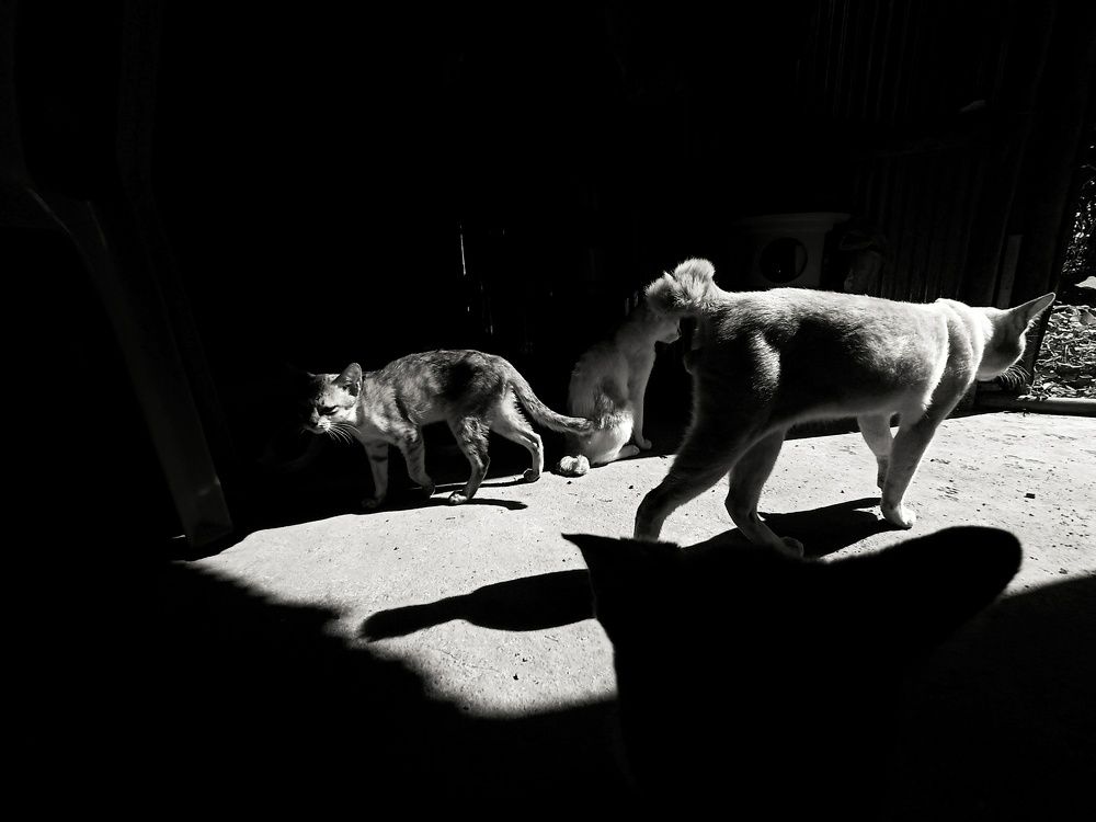 Photograph by Pheap Sophinh