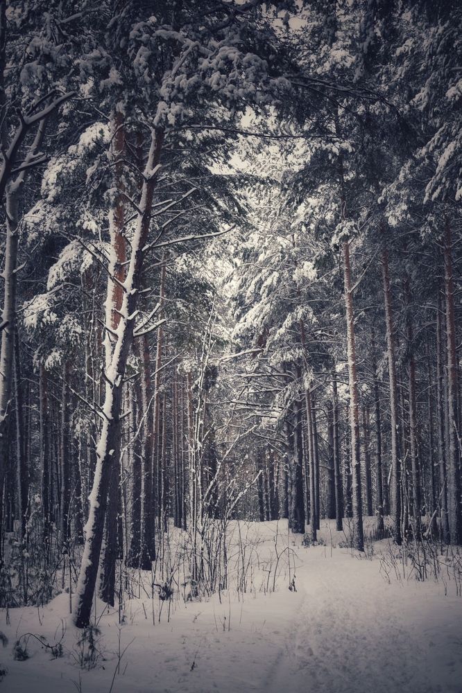 Photograph by Кира Бахвалова