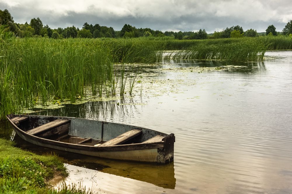 Photograph by Бугвин Алексей