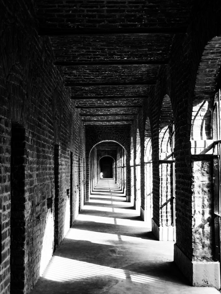 Photograph by Susmita Paul