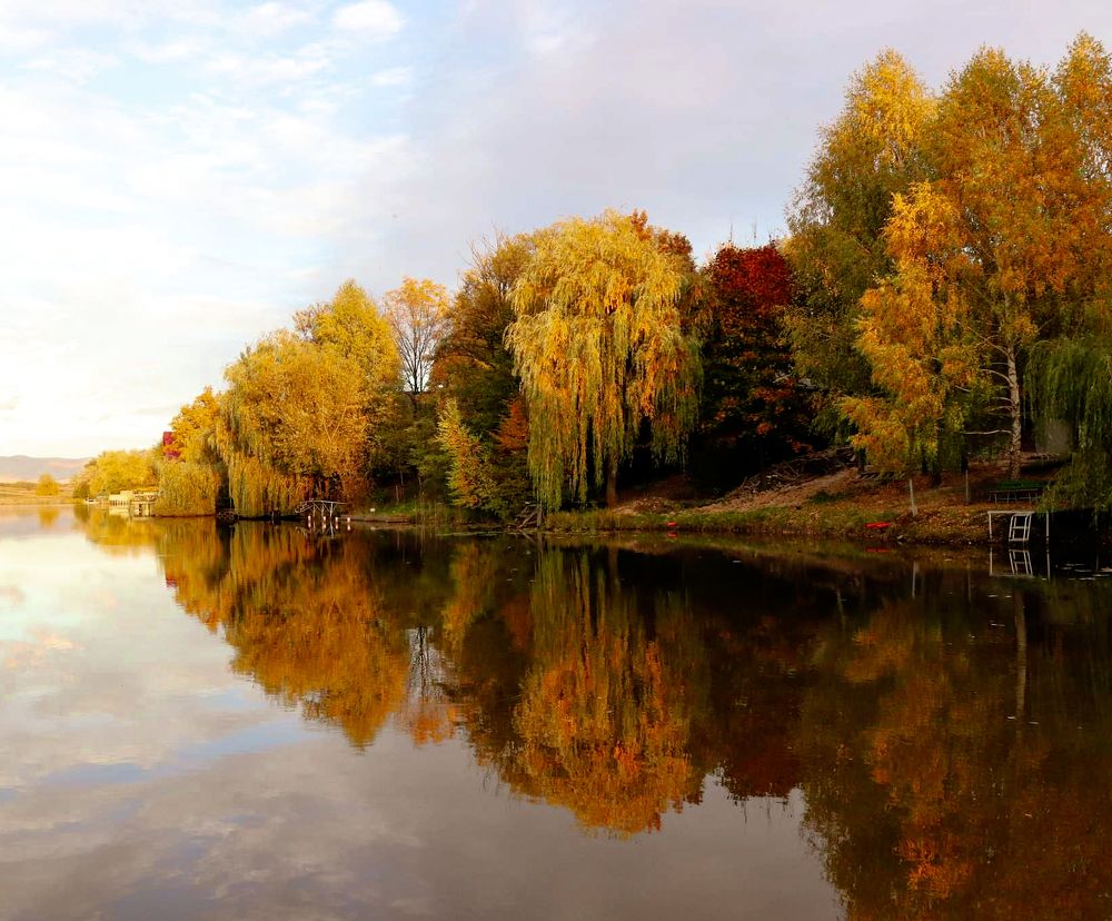 Фотография автора Green light