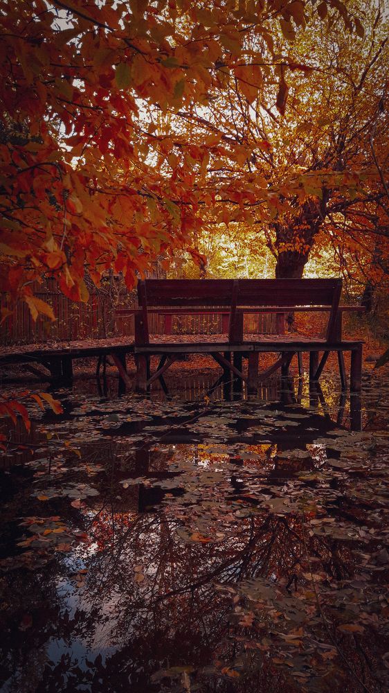 Фотография автора Green light