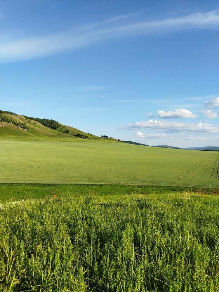 Photograph by Александр Дегтярев