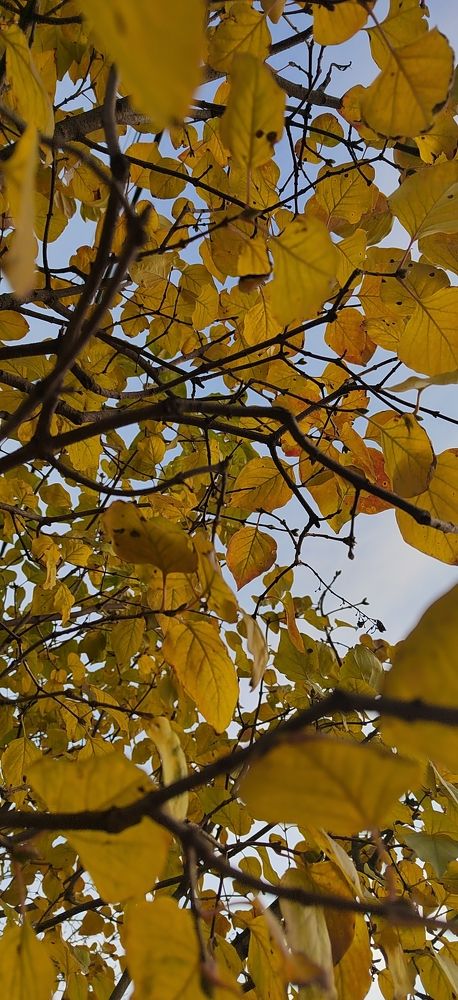 Photograph by Татьяна Афанасьева